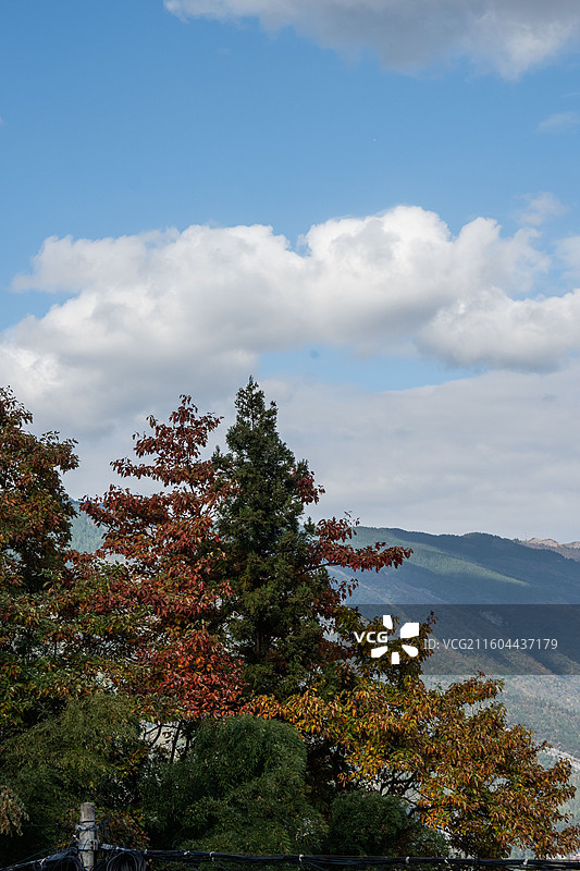 湖北恩施太阳河深山峡谷自然风光图片素材