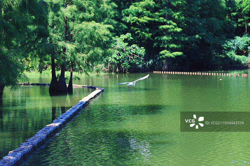 苏州常熟虞山尚湖风景区景点图片素材