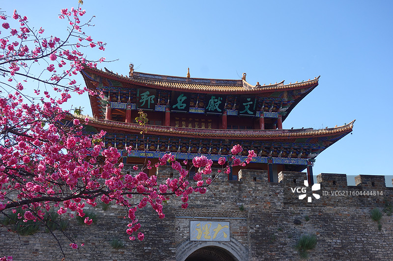 云南省大理州大理市大理古城：南门城楼文献名邦樱花盛开图片素材