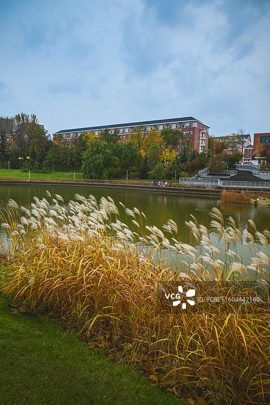 大连理工大学校园人工湖凌水湖图片素材