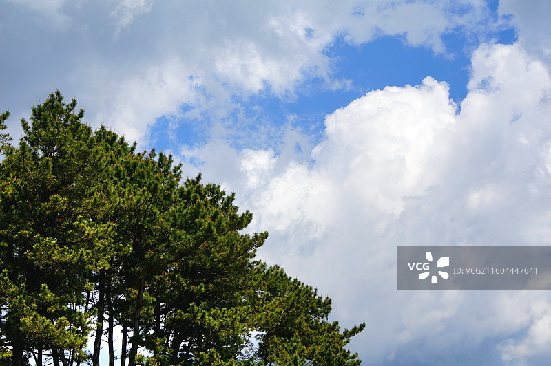 日本茨城县东茨城郡大洗町，大洗公园和大洗海岸图片素材