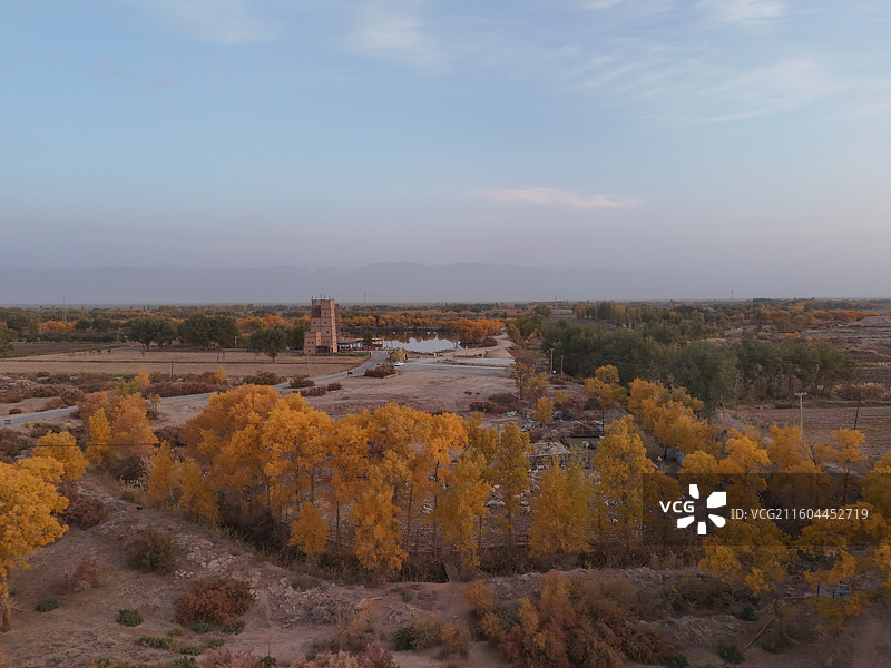 巴楚红海胡杨林秋色图片素材