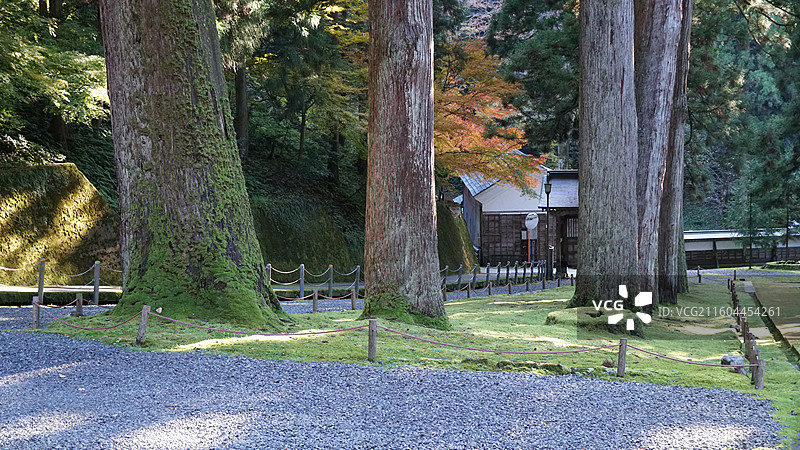 日本福井 曹洞宗吉祥山永平寺图片素材