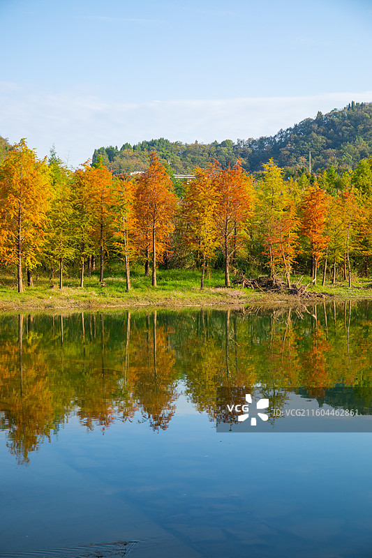 湖北宜昌点军区卷桥河湿地公园湖边风景图片素材