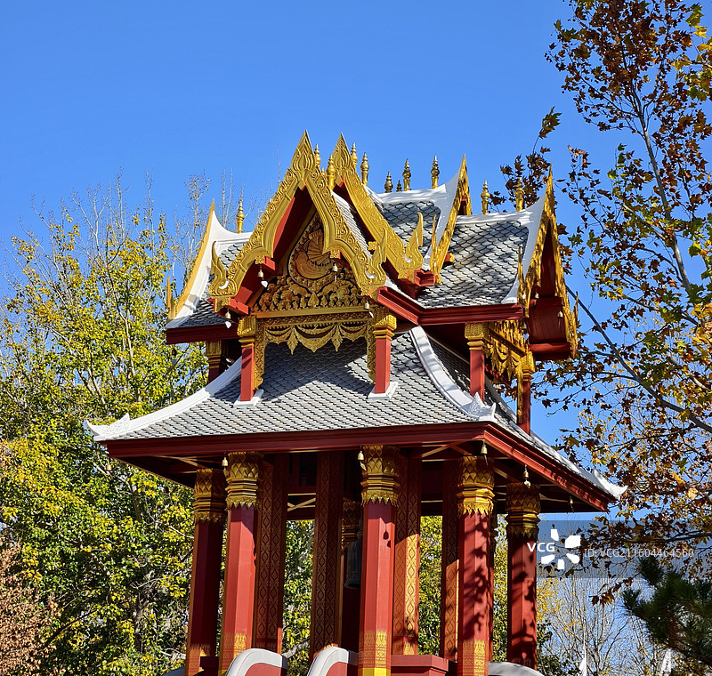 泰式金銮图片素材