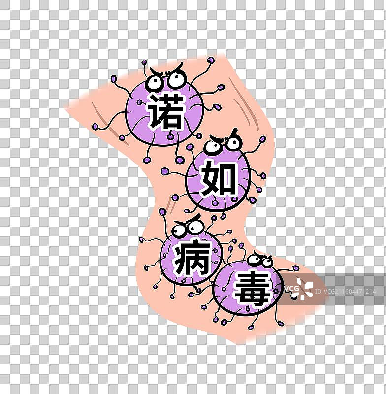 诺如病毒图片素材