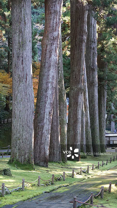 日本福井 曹洞宗吉祥山永平寺图片素材