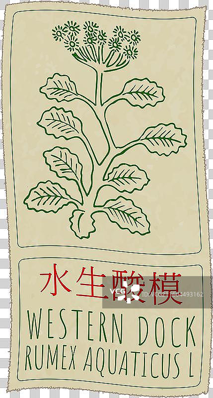 中国手绘的西方码头插画图片素材