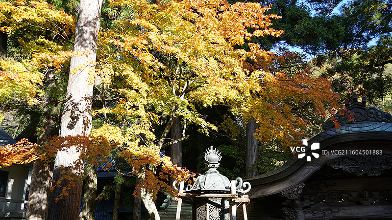 日本福井 曹洞宗吉祥山永平寺图片素材