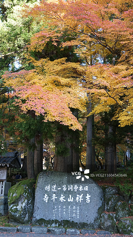 日本福井 曹洞宗吉祥山永平寺图片素材