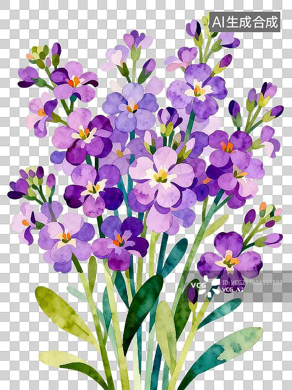 【AI数字艺术】紫罗兰 水彩插画花卉系列图片素材