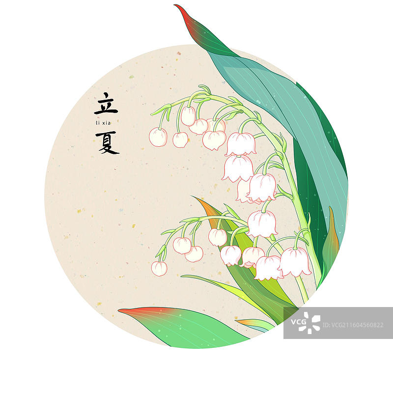 立夏铃兰图片素材