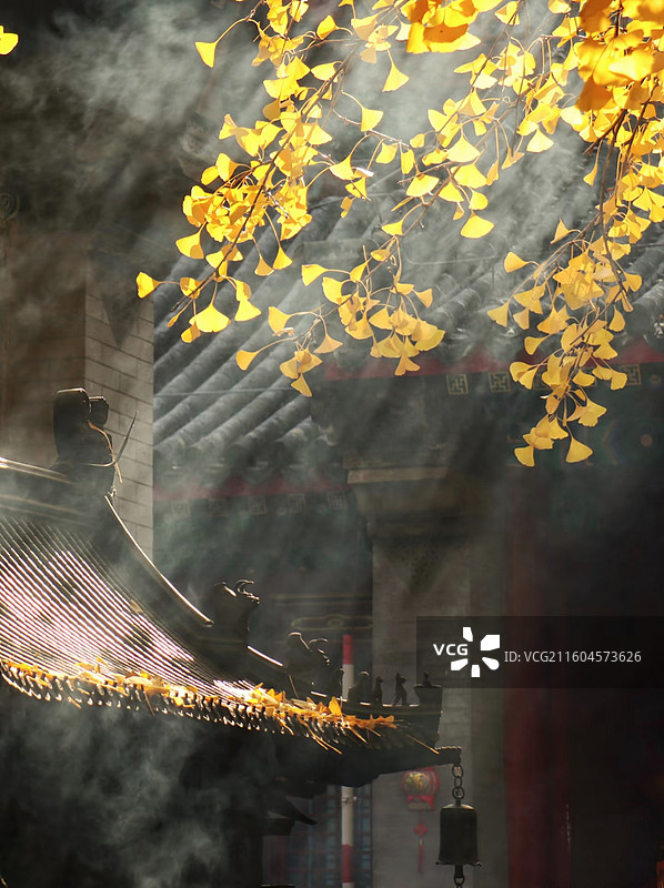 檐角金秋：叶与铃的光影对话图片素材