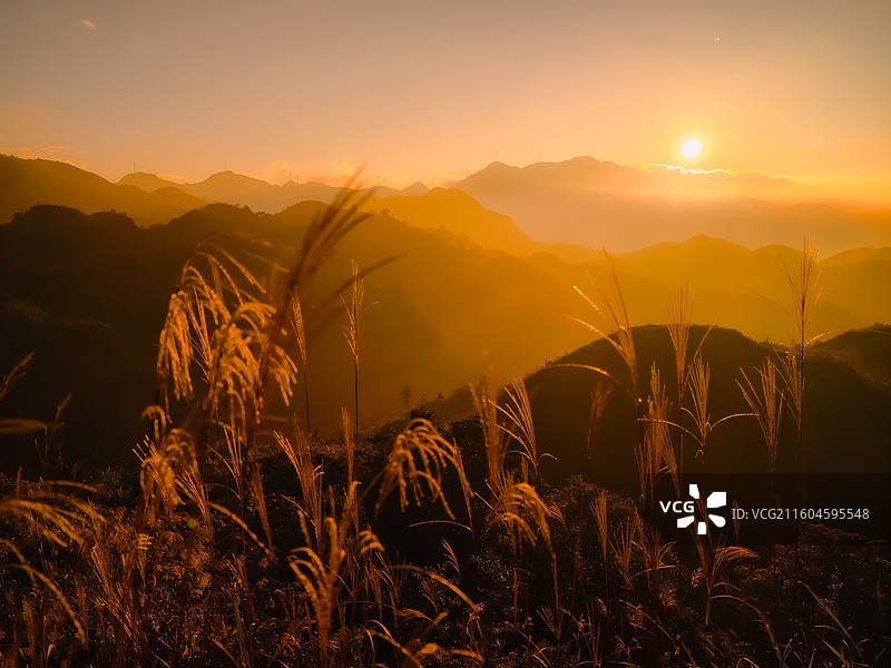 信宜马安竹海之落日图片素材