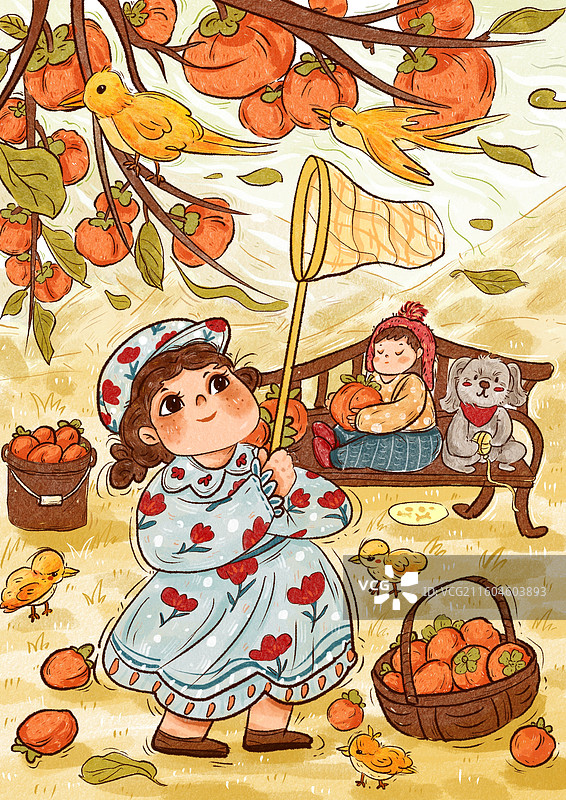摘柿子的小女孩图片素材