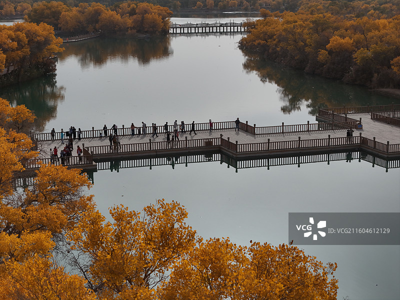 巴楚红海胡杨林秋色图片素材