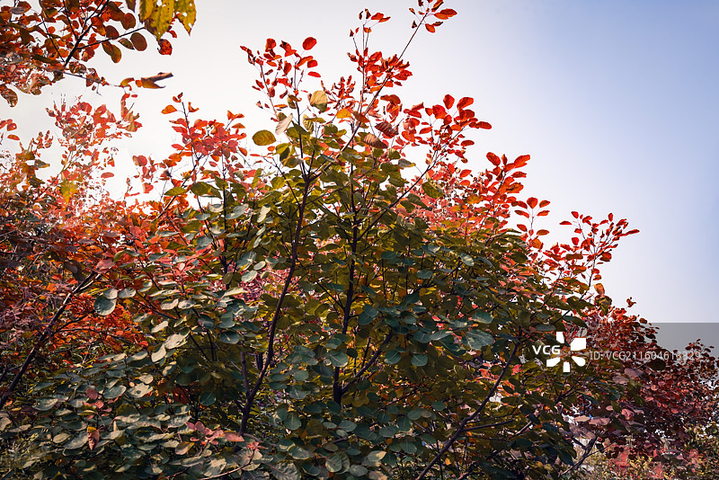 北京坡峰岭图片素材