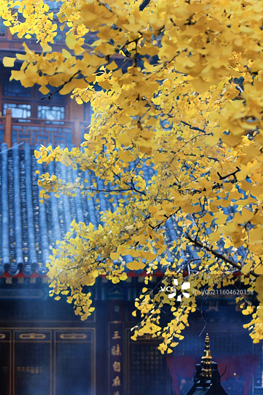 门掩秋色：匾额下的“三味自在”图片素材