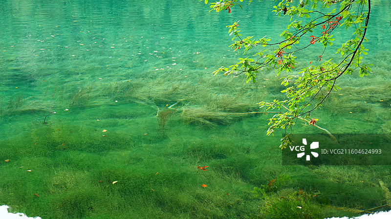 扎尕那和九寨沟的秋天图片素材