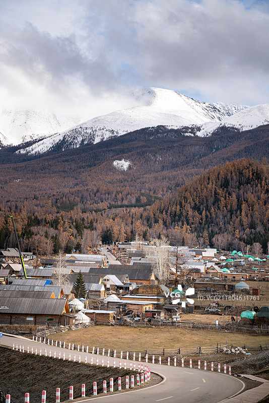 阿勒泰白哈巴图片素材