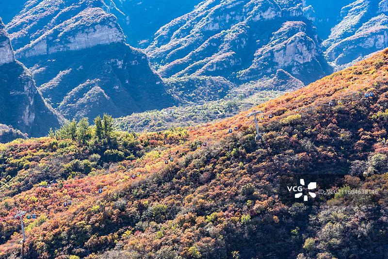 秋天北京房山坡峰岭红叶远景图片素材