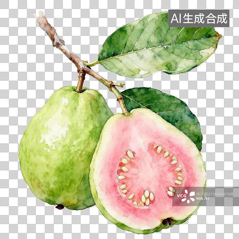 【AI数字艺术】手绘插画，芭乐，番石榴，水果，免抠元素图片素材