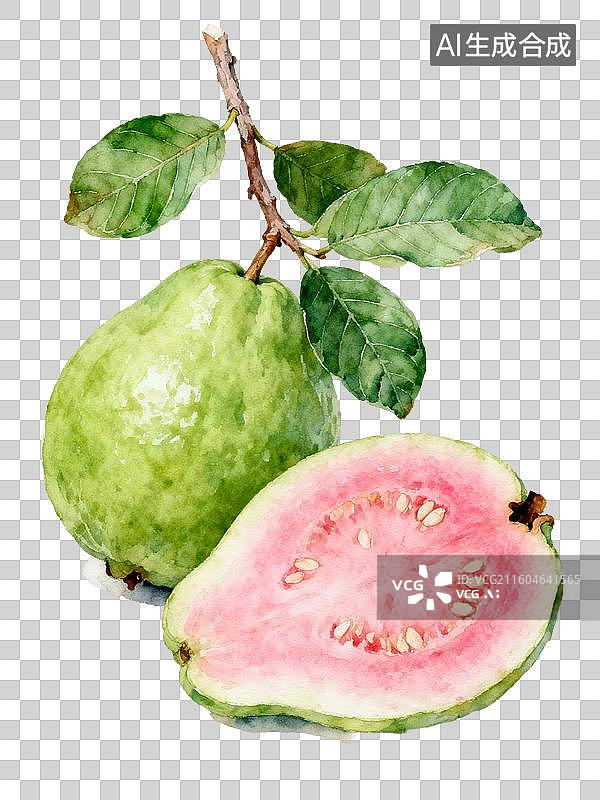 【AI数字艺术】手绘插画，芭乐，番石榴，水果，免抠元素图片素材