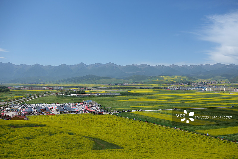 青海省海北州门源县门源油菜花海图片素材