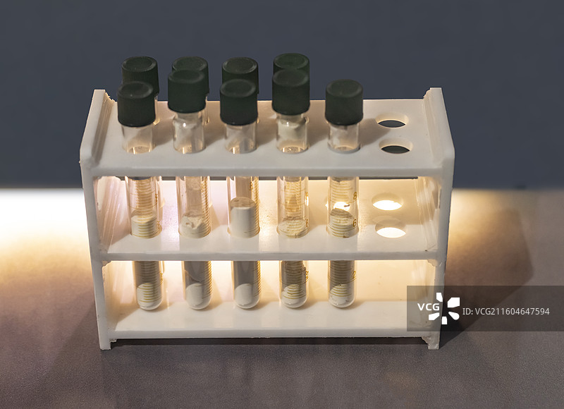 褐藻寡糖 GV-971原料药 国家海洋博物馆图片素材