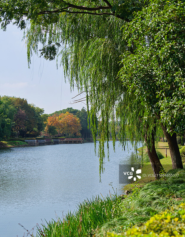 南京宝船厂遗址公园 - 郑和下西洋宝船遗址，占地198亩，是全球现存唯一的中世纪皇家造船厂遗址。图片素材