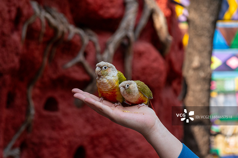 北京野生动物园图片素材