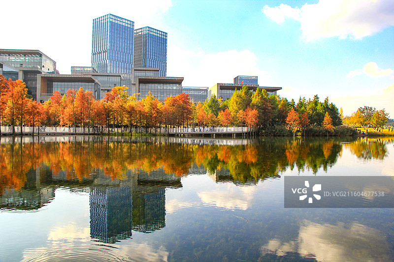 四川天府新区成都兴隆湖科创生态岛秋日风光图片素材