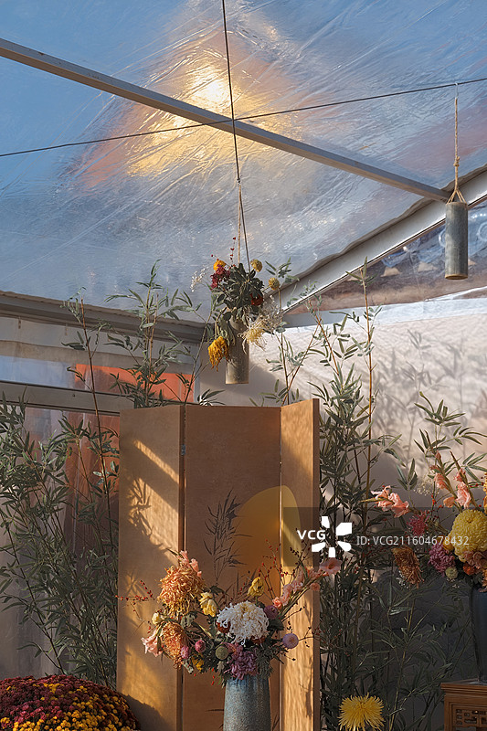 秋日菊花摊图片素材