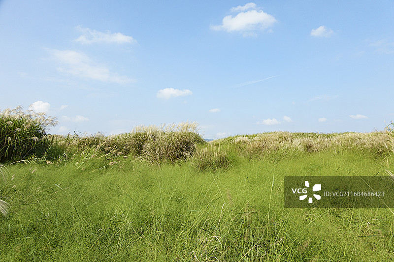 良渚文化遗址公园图片素材