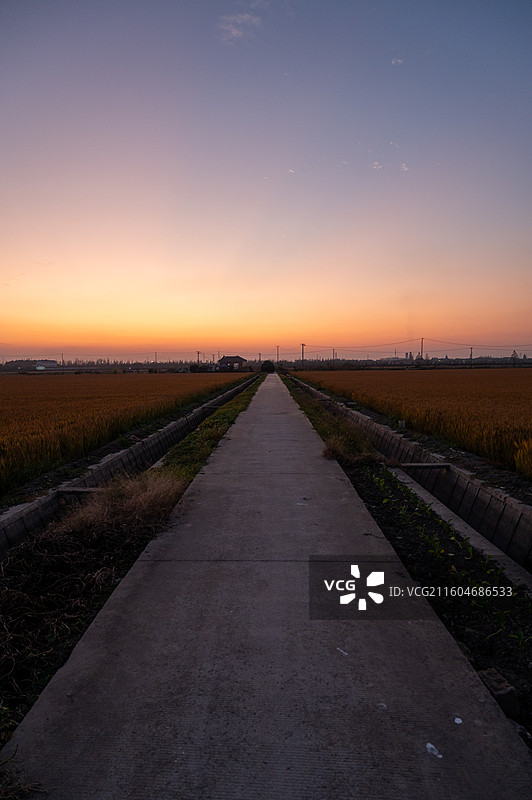 黄昏的乡间小道图片素材