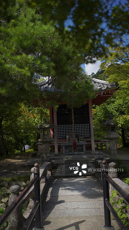 日本京都清水寺 世界文化遗产悬造式木质全景 清水寺本堂与三重塔和风景致 千年古寺木质结构与禅意氛围图片素材