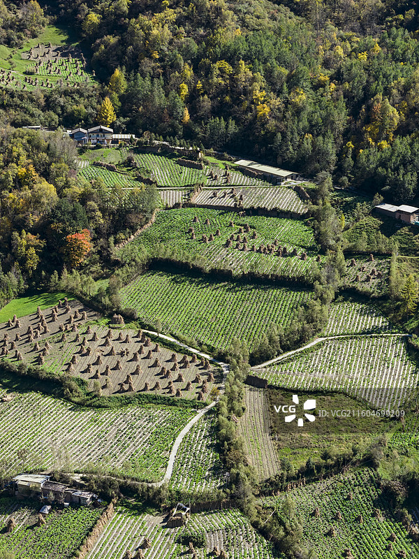 宝兴县硗碛镇山村田园山区农村秋色图片素材