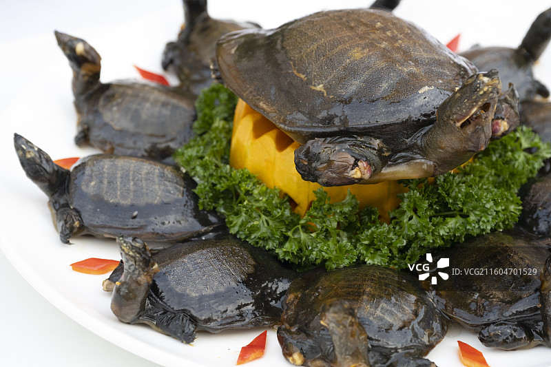 美食卤甲鱼图片素材