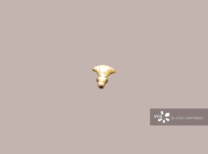 喇叭花玉饰 金 固安县于沿村宝严寺地宫 廊坊博物馆图片素材