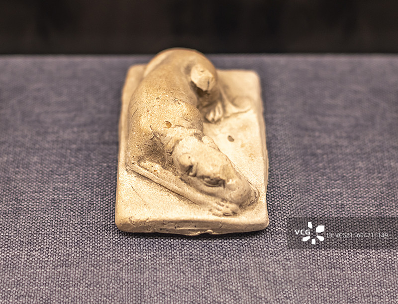 陶犬 唐 文安县麻各庄董满墓 廊坊博物馆图片素材