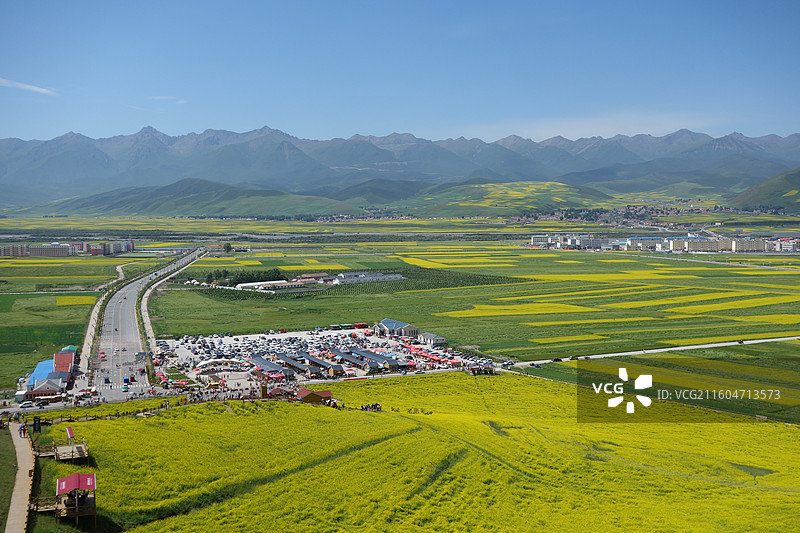 青海省海北州门源县门源油菜花海图片素材