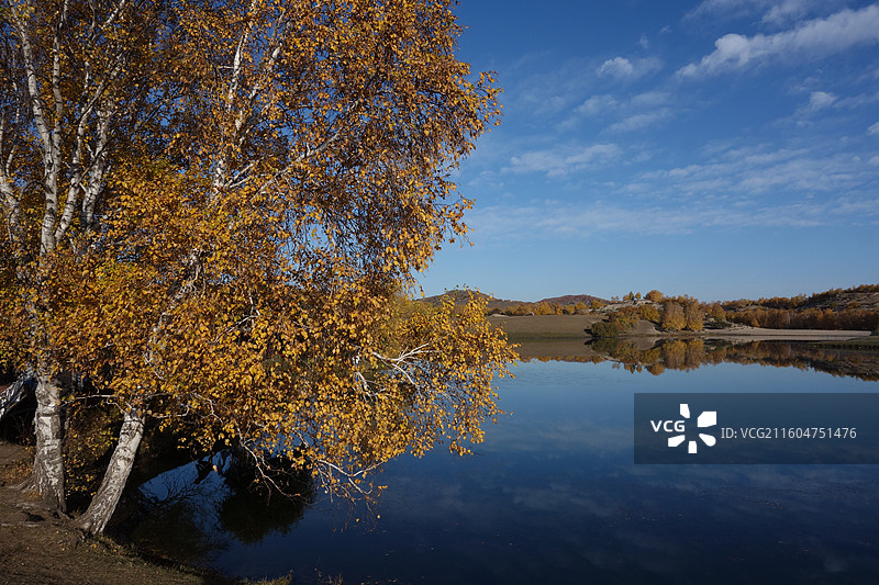 内蒙古赤峰市克什克腾旗乌兰布统坝上草原：公主湖西大泡子同心桥秋色图片素材