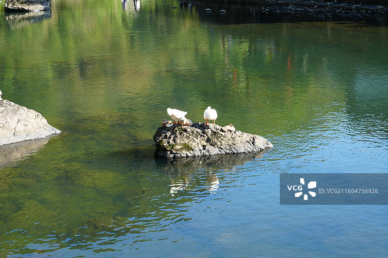 浙江 余姚 四明山 李家坑村 古村落 新农村 风景图片素材