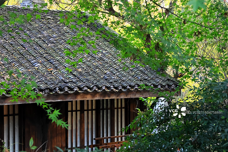 秋天的东方盐湖城景区图片素材