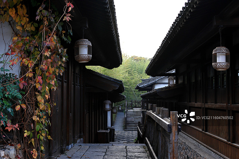 秋天的东方盐湖城景区图片素材