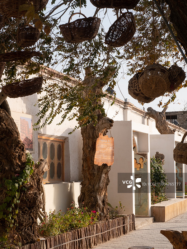 宁静逆光下沙漠古城树枝上的竹篮子图片素材