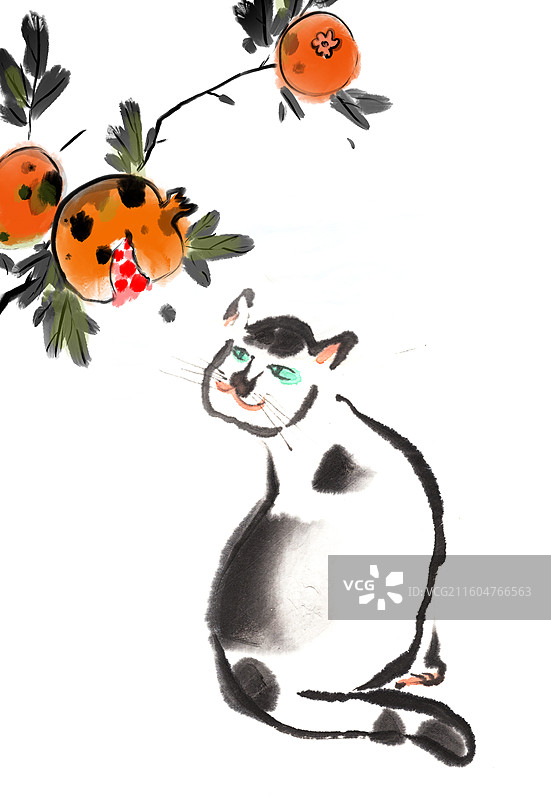 中国风 手绘 水墨 插画 宠物 猫图片素材