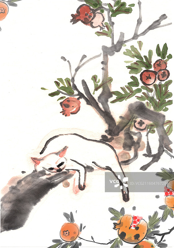 中国风 手绘 水墨 插画 宠物 猫 石榴树图片素材