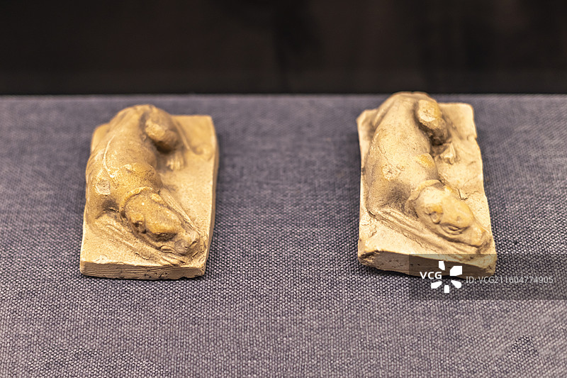 陶犬 唐 文安县麻各庄董满墓 廊坊博物馆图片素材