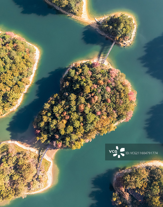 杭州千岛湖红叶湾，碧蓝湖泊上的岛屿秋叶泛红图片素材
